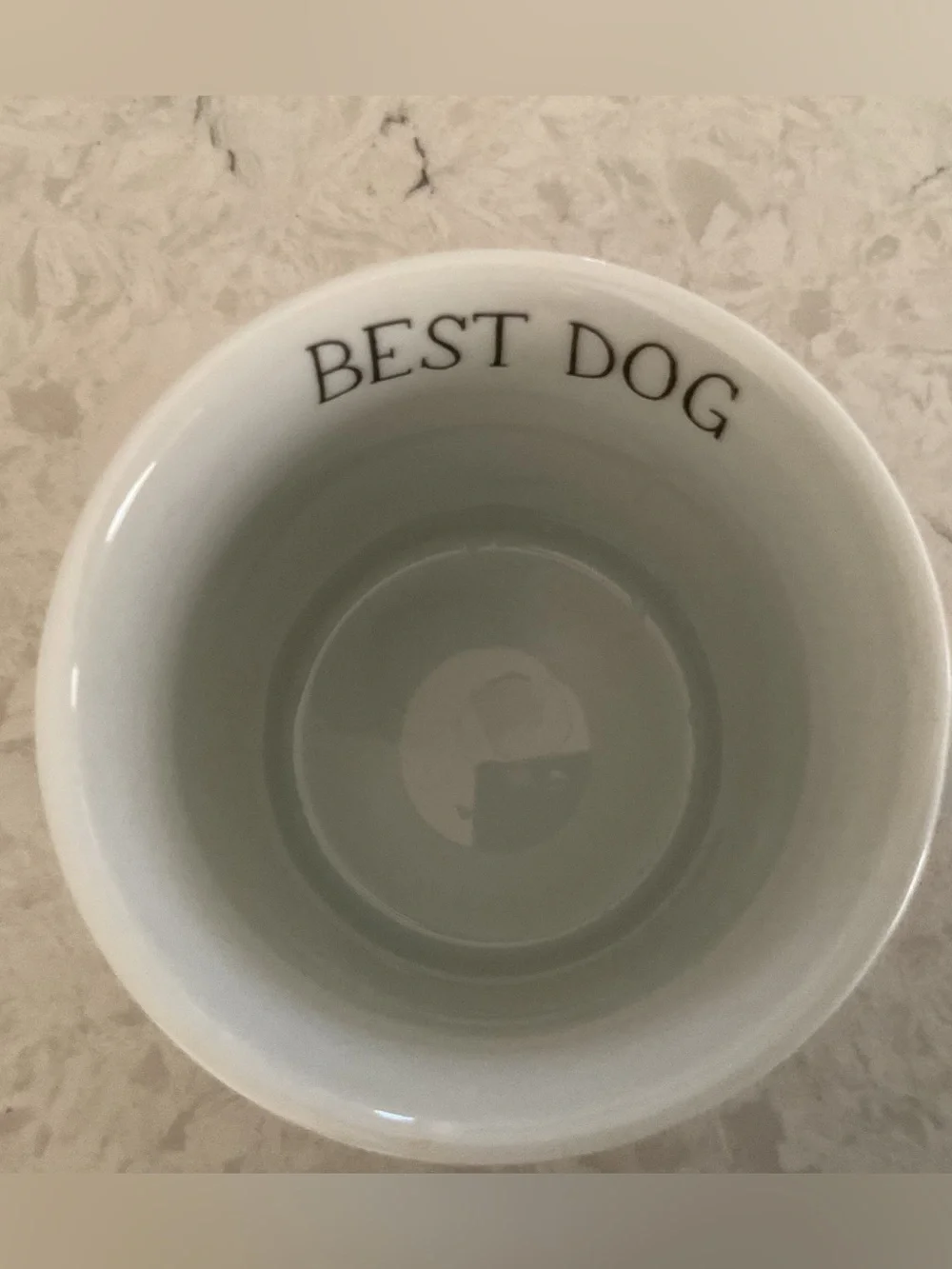 Fringe Julianna Swaney Best Dog, Chihuahua Wearing a Green Coat Coffee/Tea Mug